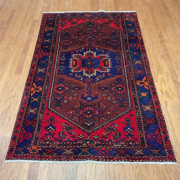 Persian Hand-knotted Hamadan Wool Rug (4'8 x 7'10)