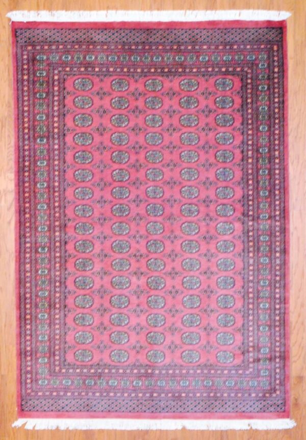 Pakistani Hand-knotted Bokhara (6' x 9')