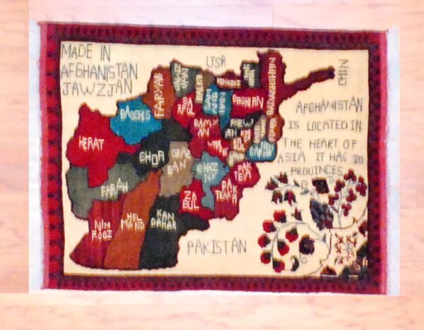 Afghan Hand-knotted Map Design Rug (2'8 x 3'7)