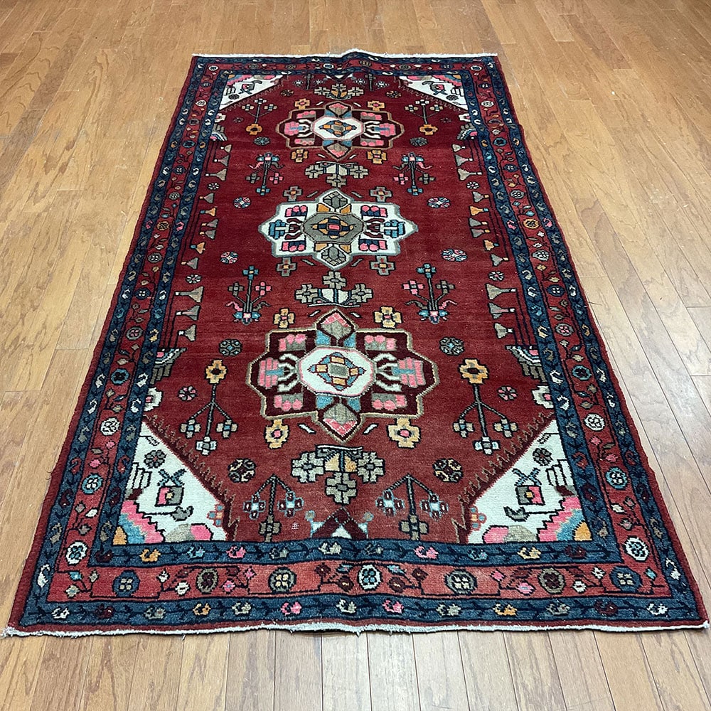 Persian Hand-knotted Hamadan Wool Rug (3'11 x 7'11)